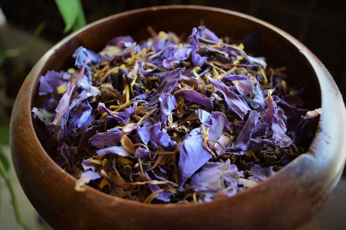 قیمت گل گاوزبان در اصفهان