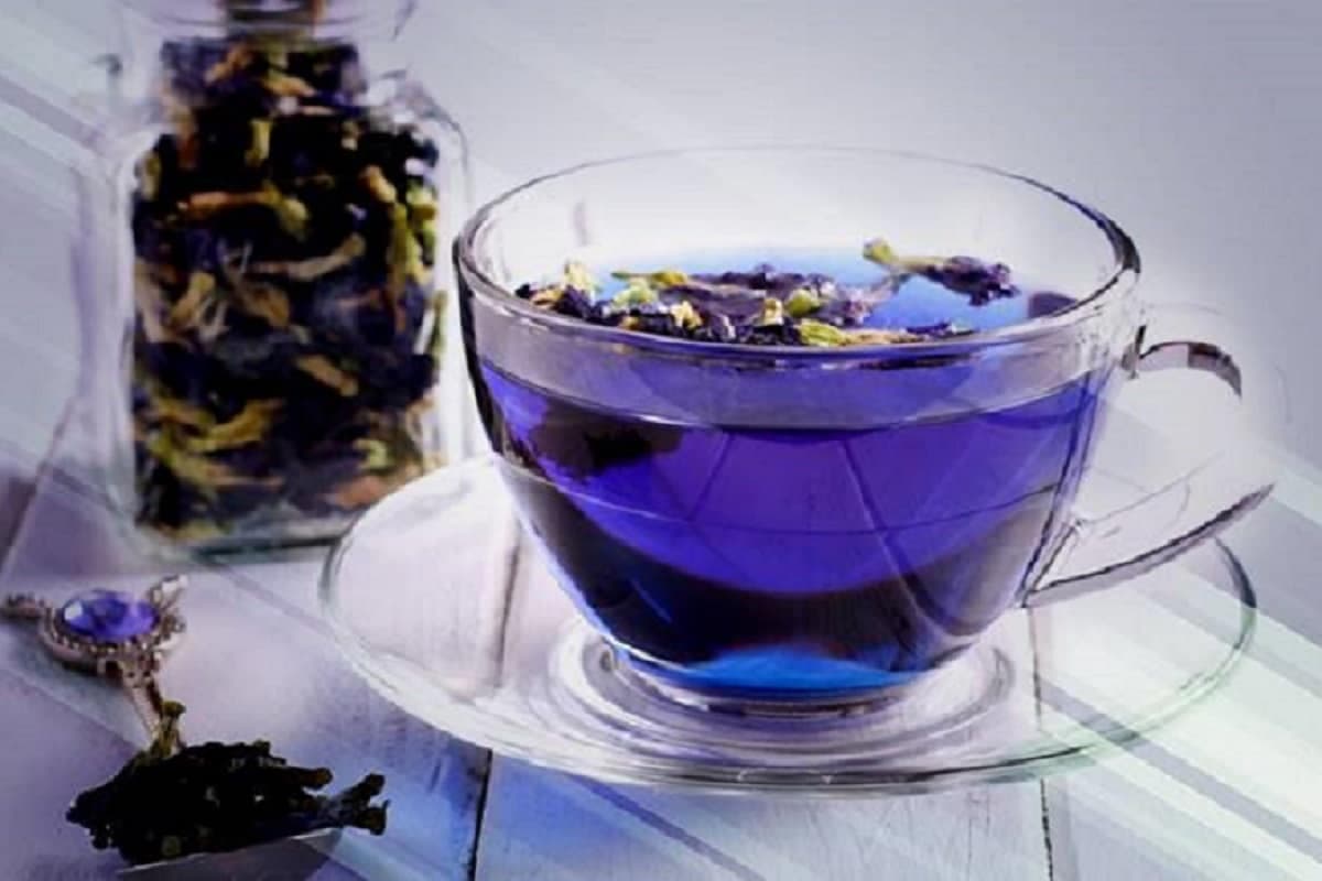 قیمت گل گاوزبان تازه