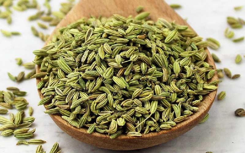 قیمت رازیانه درجه یک