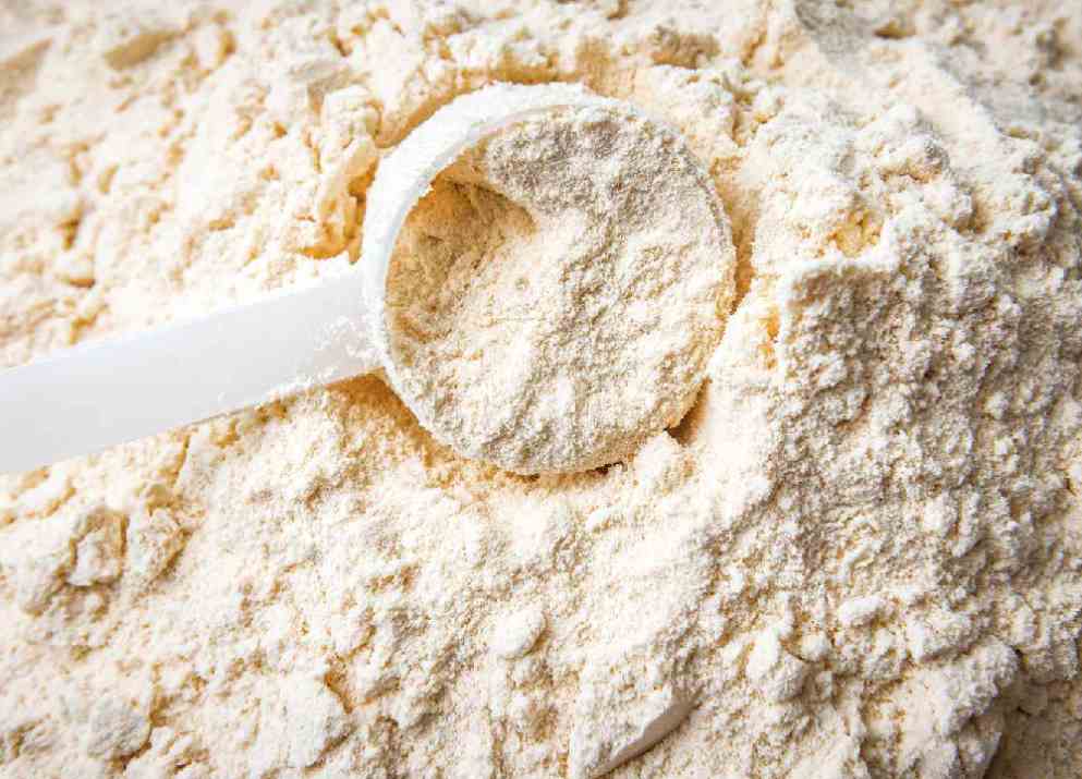 خرید پودر آب پنیر ارزان قیمت