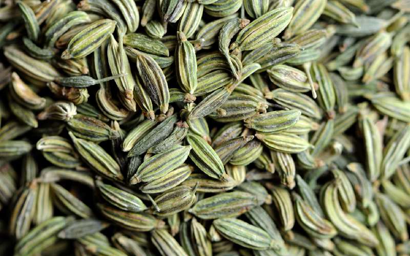 قیمت رازیانه همدان