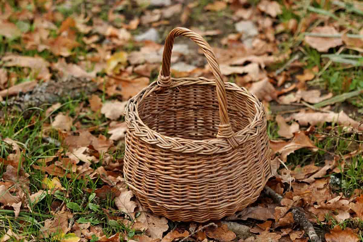 سبد حصیری گرد ؛ زیبا محکم جنس (چوب الیاف گیاهی و برگ درخت خرما) 5 استان تولید کننده