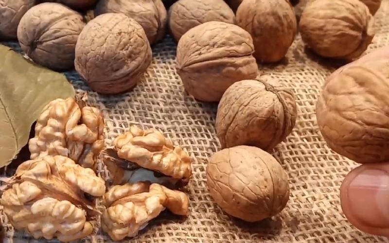 گردو چینی در ایران؛ کروی شکل یکدست بهبود عملکرد مغز تقویت رشد مو