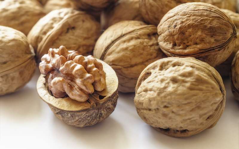 گردو چینی در دبی؛ تنظی فشار خون تقویت سیستم ایمنی بدن 2 نوع (سفید قهوه ای)