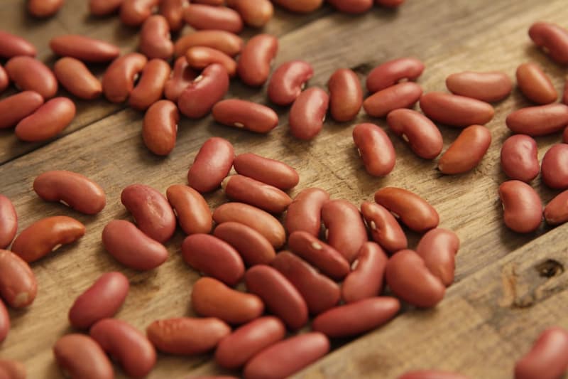 لوبیا قرمز جگری ؛ خوشپخت تقویت کننده حافظه 2 استان تولید کننده لرستان زنجان