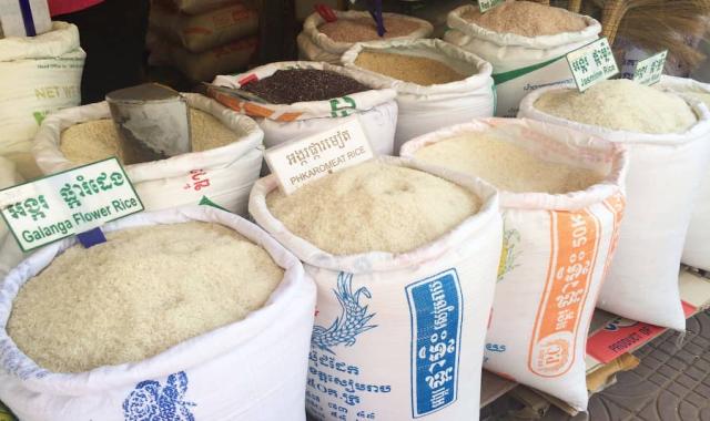 برنج تایلندی هومالی؛ خوش عطر تامین انرژی جلوگیری چاقی کنترل فشار خون
