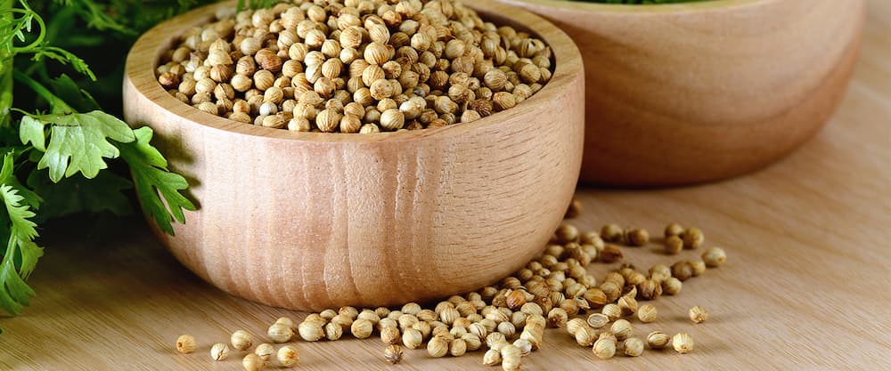 بذر گشنیز coriander seeds رنگ قهوه ای طعم لیمویی درمان ریزش مو دیابت