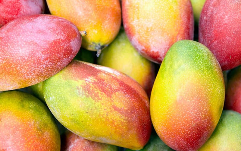 انبه امروز اصفهان ؛ شیرین زرد رنگ ویتامین (A C B کمپلکس) درمانگر طبیعی