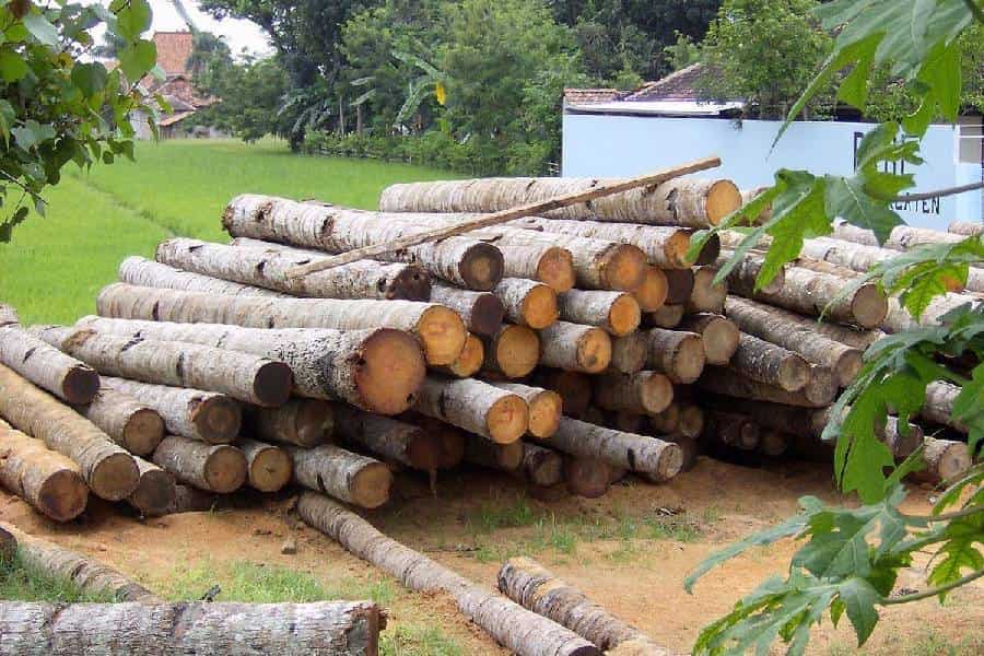 چوب کیلویی گردو ؛ سفید خامه ای شکلاتی تیره 2 کاربرد منبت کاری مبلمان