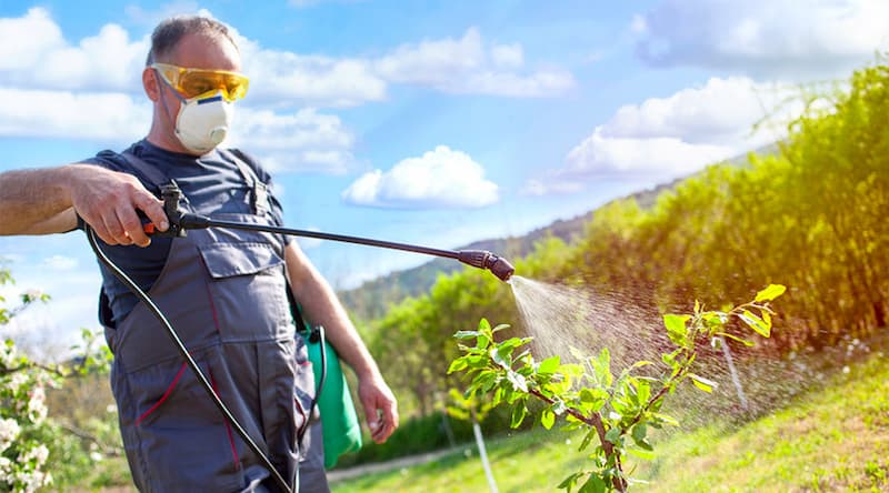 شیلنگ موتور سمپاش ؛ pvc منعطف 2 رنگ زرد مشکی