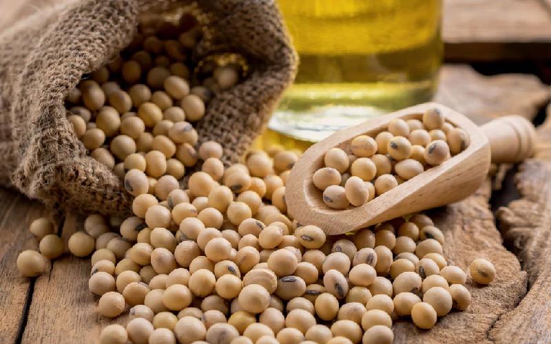 سویا جهاد کشاورزی ؛ پیشگیری از آلزایمر 2 نوع داخلی وارداتی
