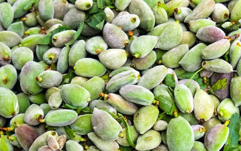 بادام درختی خام با پوست؛ ویتامین ب آنتی اکسیدان بهبود سلامت