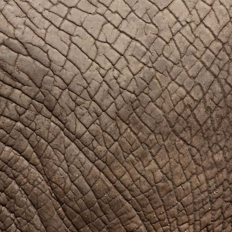 چرم اشبالت گاوی leather فیبری فشرده متراکم مناسب کفش رومبلی کیف