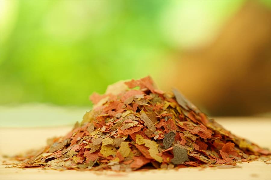 غذا ماهی قرمز؛ منجمد خشک شده 3 شکل (قرص چوب چیپس)