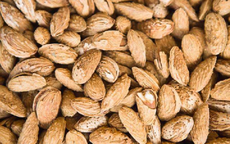 بادام کاغذی ۱۴۰۱؛ پوست نازک + درمان بیماری تنفسی ریوی