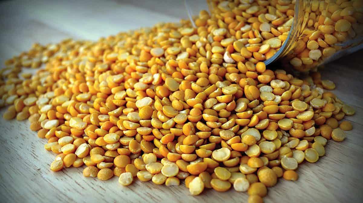 لپه فله امروز؛ تنظیم قند خون کنترل فشار خون کلسیم آهن magnesium مس