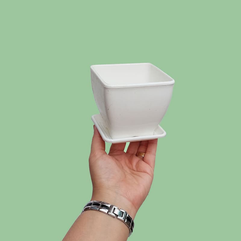 گلدان پلاستیکی مربع؛ سبک زیبا جنس پلی اتیلن مناسب مکان های مختلف