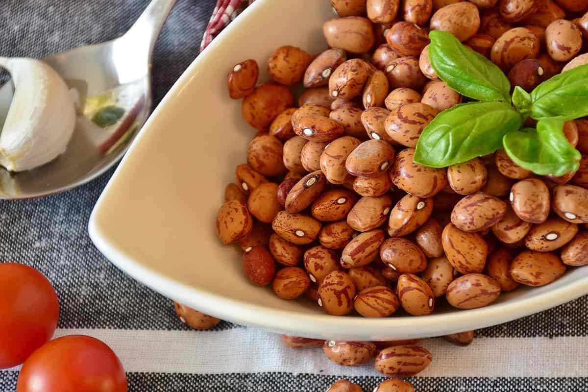 لوبیا چیتی کیلویی Pinto beans دانه کشیده رفع کلسترول کاهش وزن