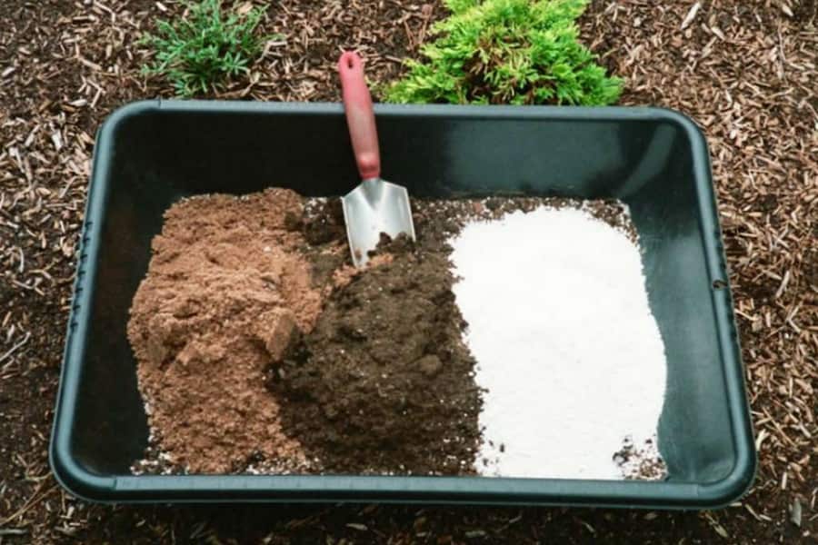 گلدان پلاستیکی سیاه؛ محکم سبک سایز بندی متنوع