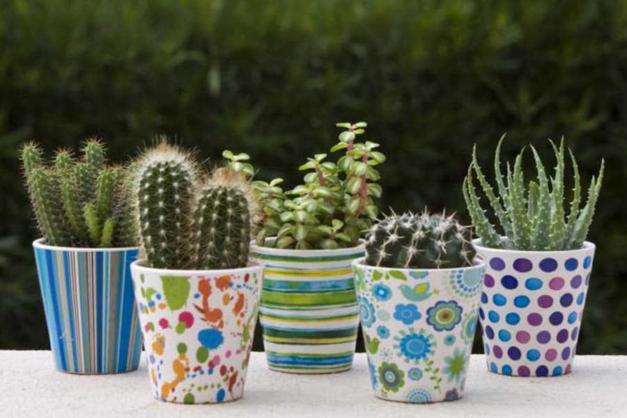 گلدان پلاستیکی شیک؛ باعث زیبایی آپارتمان طرح رنگ متنوع