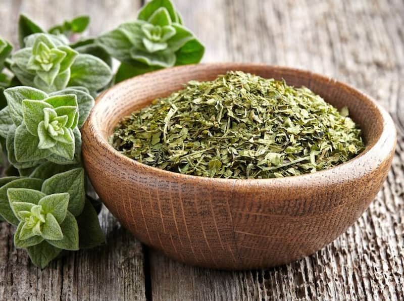 پونه کوهی عمده Oregano دمنوش معطر درمان عفونت سطحی 