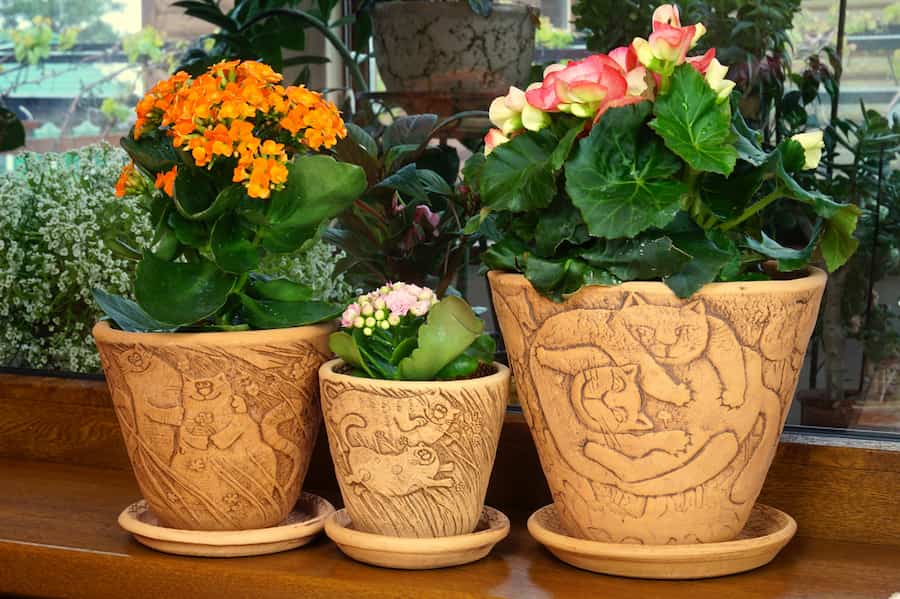 گلدان پلاستیکی عمده؛ جنس پلاستیک مرغوب مقاوم مناسب محیط گلخانه