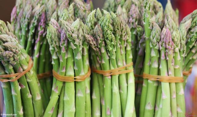 مارچوبه در اصفهان؛ تقویت دید چشم ضد پیری رنگ (سبز سفید بنفش)