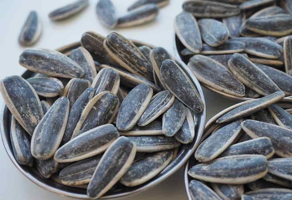 خرید و قیمت عمده تخمه آفتاب گردان بو داده شده + فروش کلی