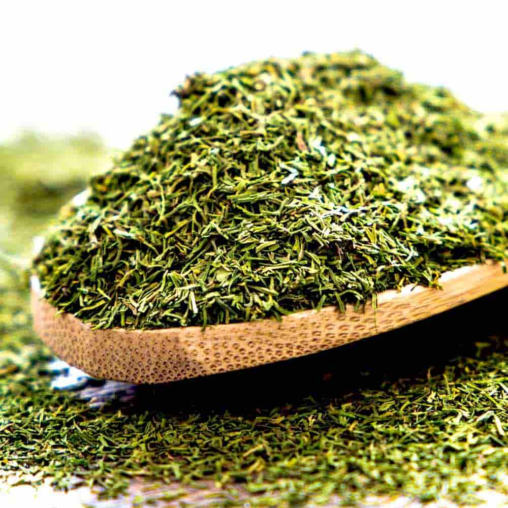 شوید خشک پفکی؛ خانگی صنعتی طبع گرم کمک هضم غذا