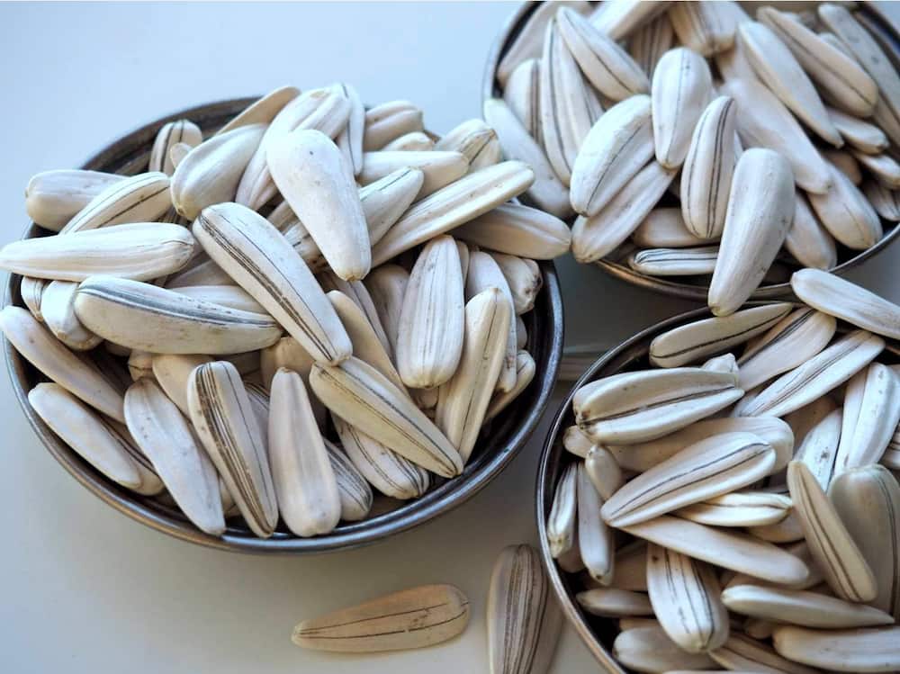 تخمه آفتابگردان سفید؛ بسته بندی 100 گرمی یک کیلویی مواد معدنی( پروتئین فیبر)