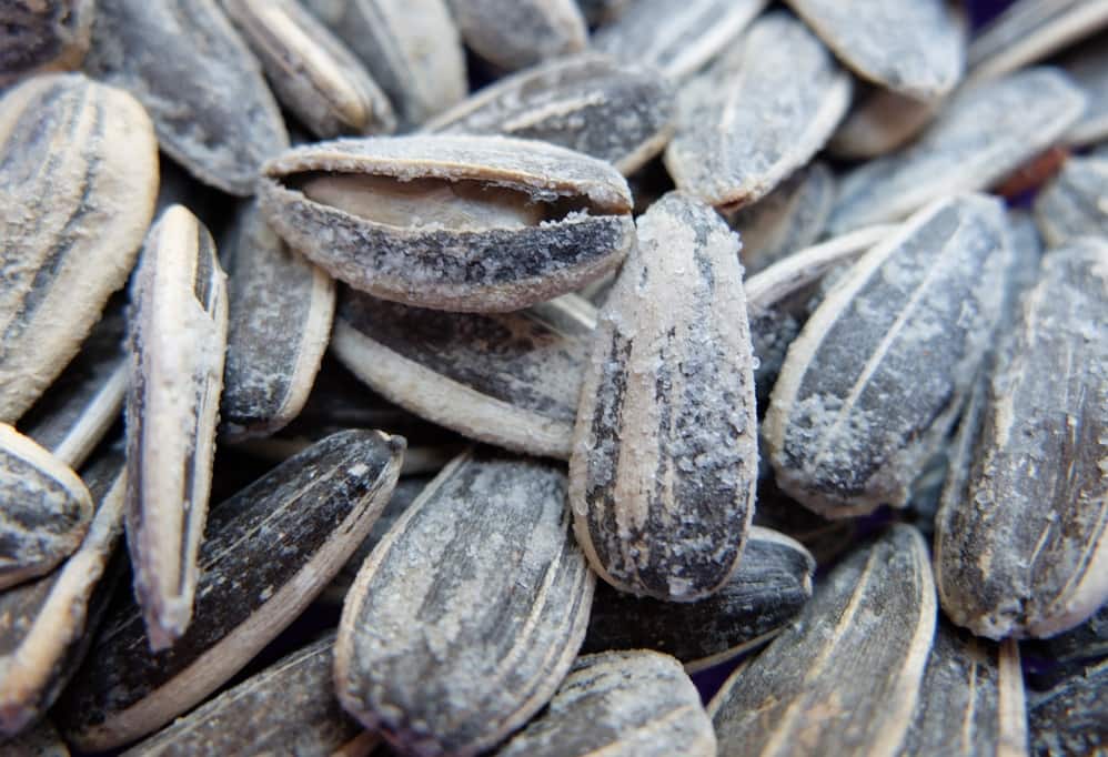 خرید و قیمت عمده تخمه آفتاب گردان شور + فروش کلی