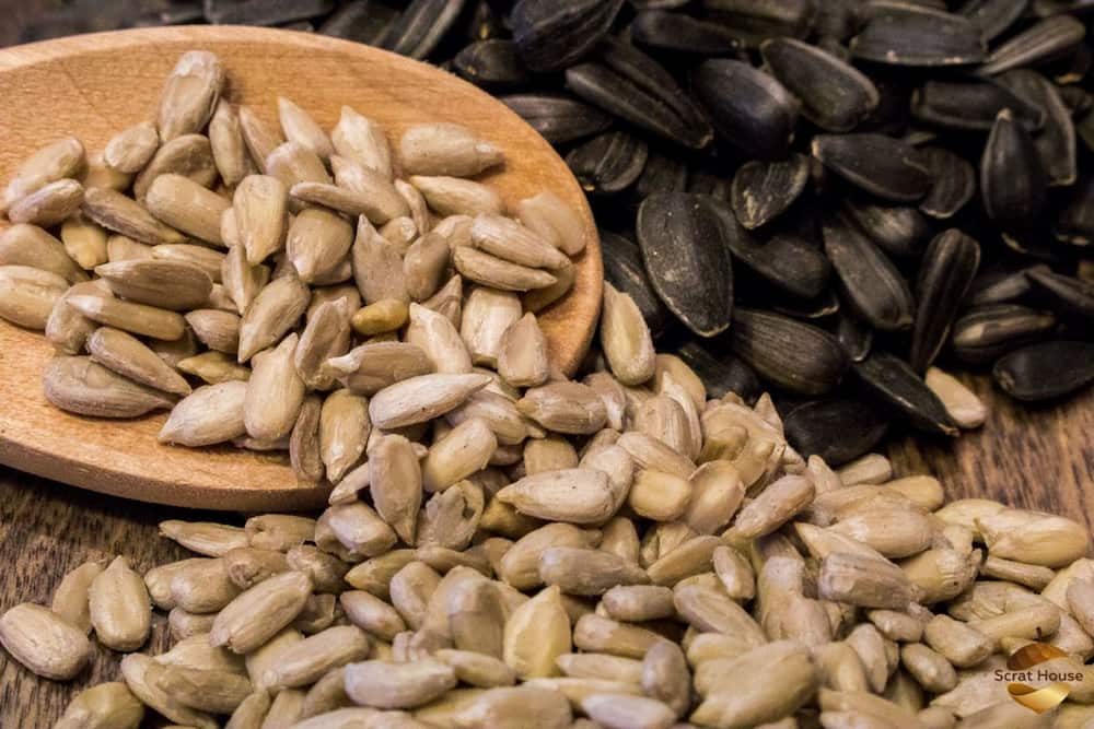 تخمه آفتابگردان کیلویی Sunflower seed شمشیری شکل (درشت ریز)