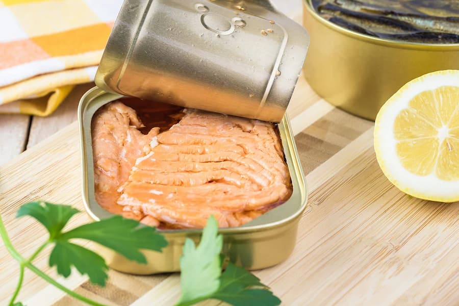 تن ماهی سبحان؛ سرشار ویتامین ترکیب گوشت ماهی تازه روغن