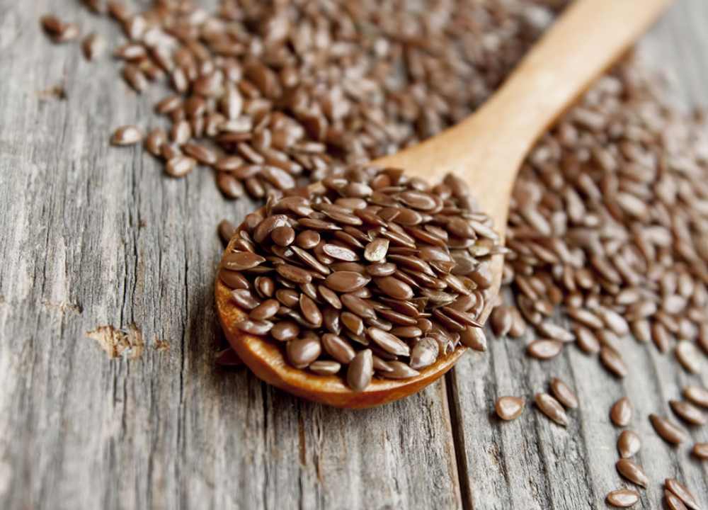 خرید مستقیم بذر کرج + قیمت فروش کارخانه