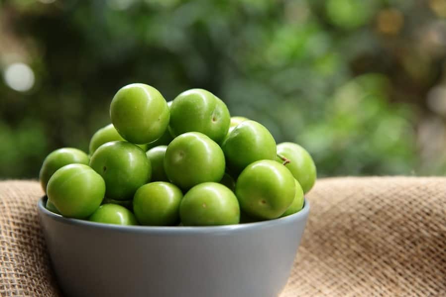 آلوچه در بازار plum تازه خشک شده بدون هسته 2 طعم ترش شیرین