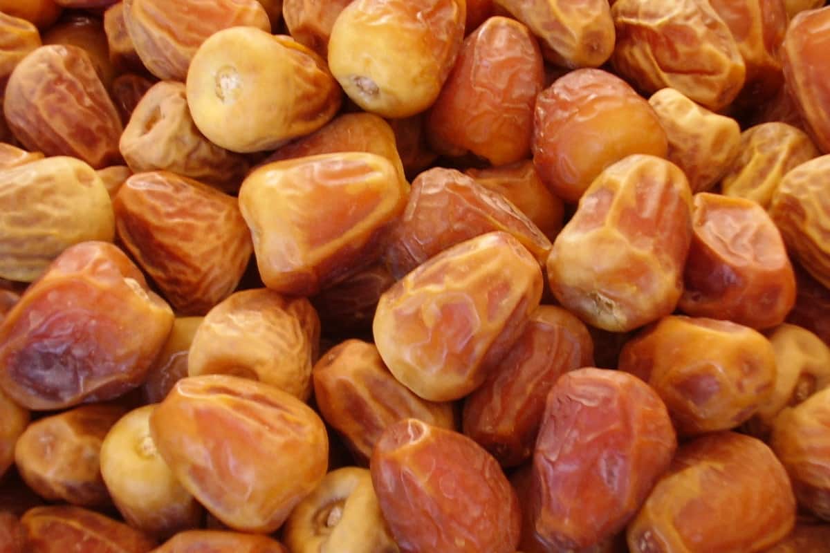 خرما زاهدی دیجی کالا + خرید و فروش