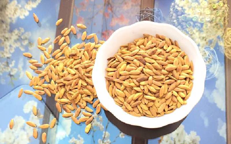 خرید و قیمت عمده بذر خربزه + فروش کلی