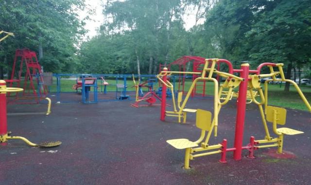 دستگاه بدنسازی پارکی (شهر بازی) هوازی قدرتی (بارفیکس پازلل مسگری)