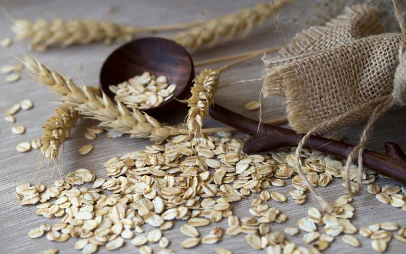 جو در قم؛ بهبود نقرس گلو درد کاربرد تهیه نان