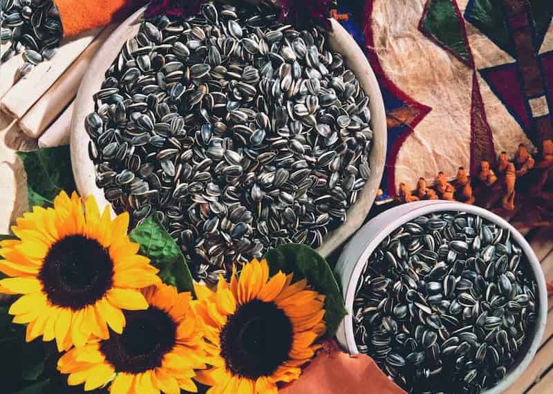 خرید و قیمت عمده تخمه آفتابگردان شیراز + فروش کلی