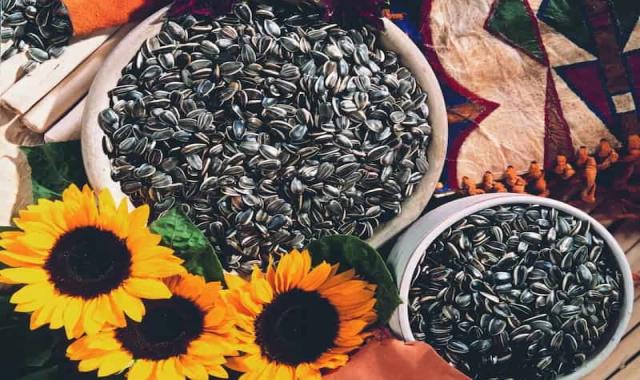 خرید و قیمت عمده تخمه آفتابگردان شیراز + فروش کلی