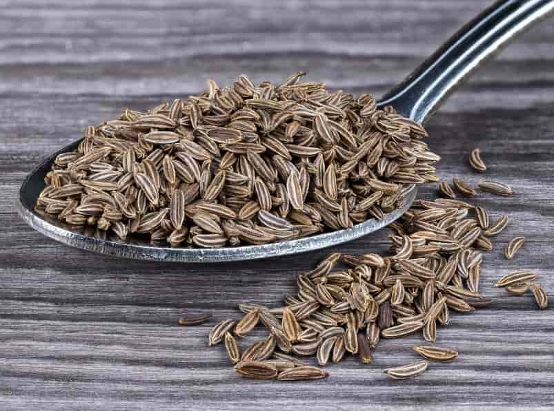 زیره در بازار؛ سبز طعم تند درمان بیماریهای گوارشی