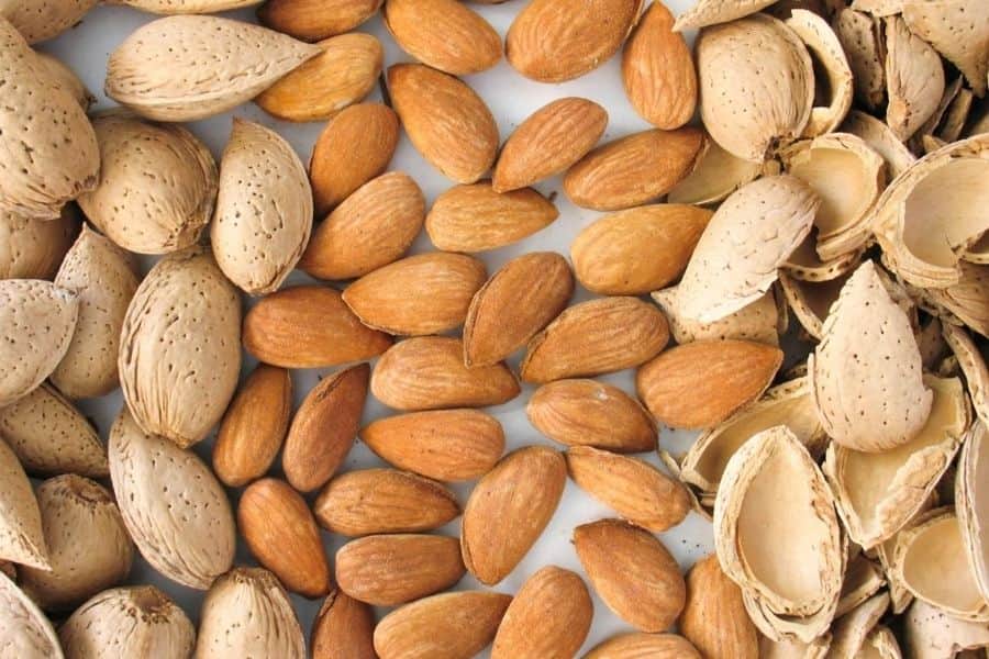 بادام سنگی؛ با پوست بدون پوست کاربرد (دارویی غذایی)