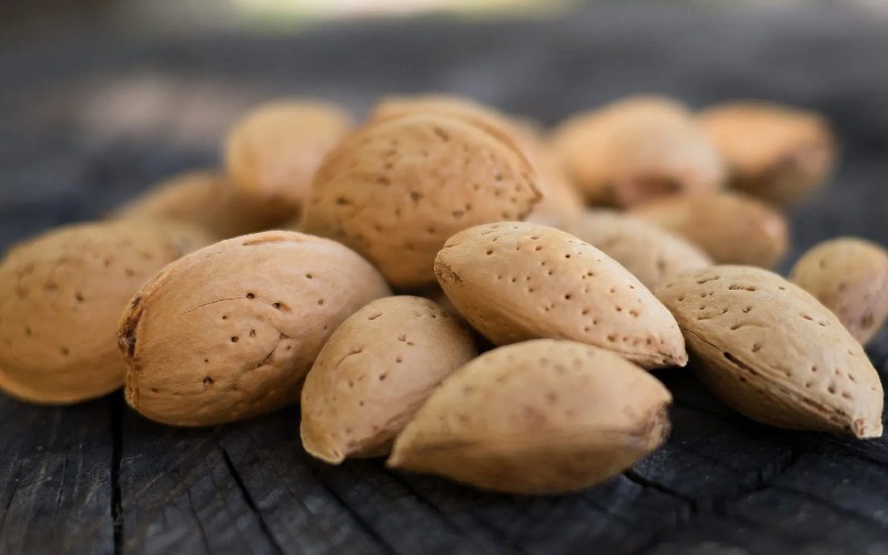 بادام سنگی امروز؛ درمان زخم معده یبوست منبع آنتی اکسیدان fiber