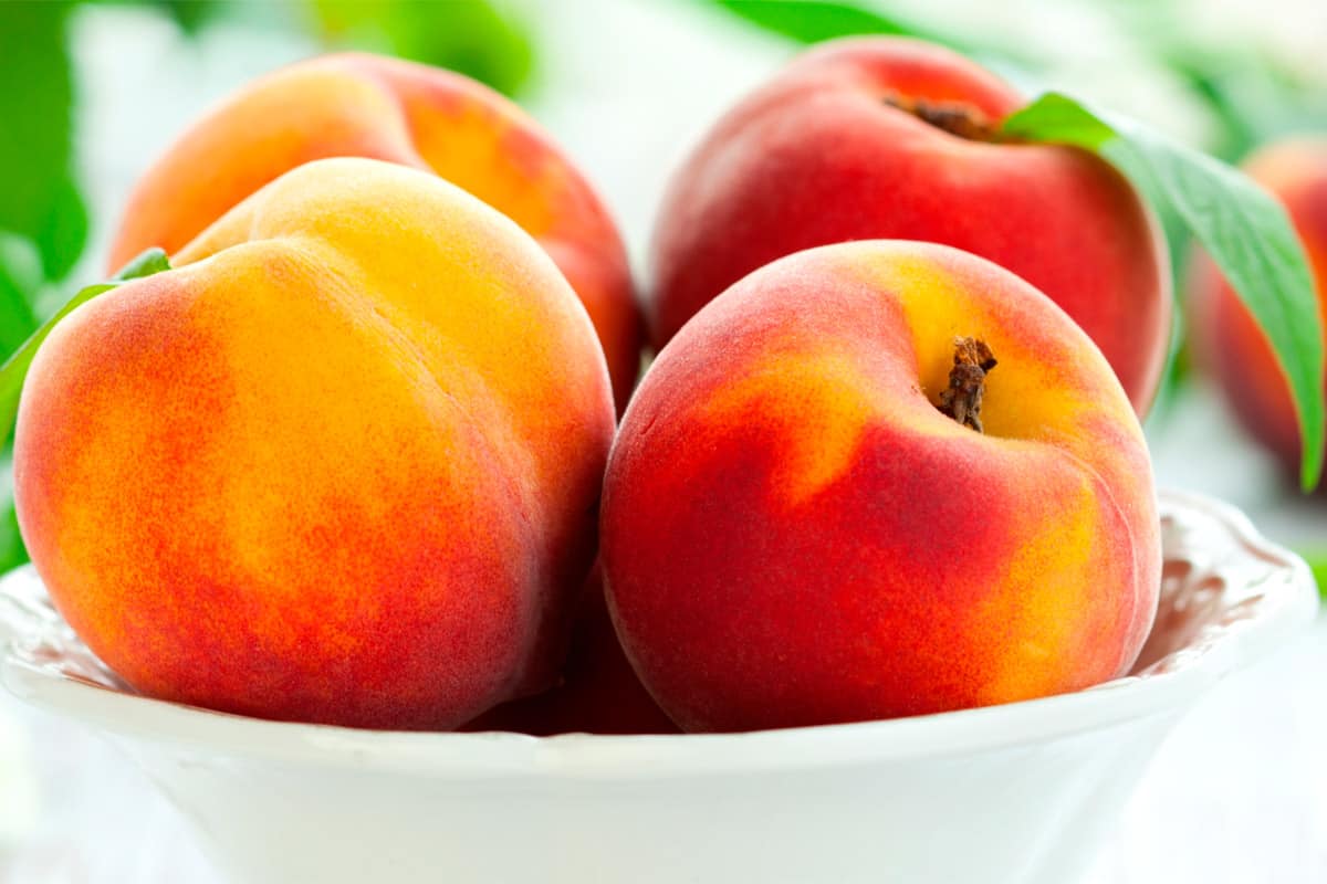 هلو امروز؛ سلامت قلب عروق زیبایی پوست مو ویتامین (C A)