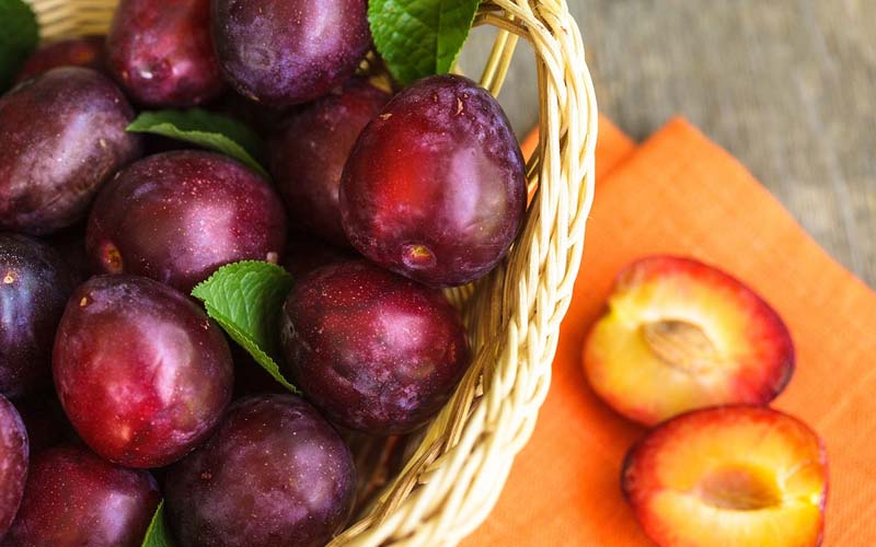 آلو ارزان؛ زرد سیاه قرمز تقویت سیستم ایمنی درمان بیماری کلیوی