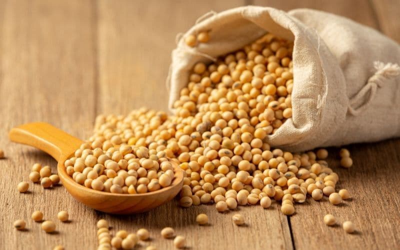 سویا خوراکی؛ دارای کالری بالا انرژی زا مناسب افراد دارای چربی خون