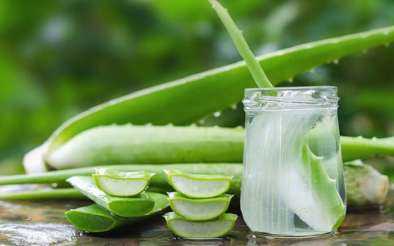 آلوئه ورا؛ خوراکی درمانی طبع گرم خشک ویتامین C E