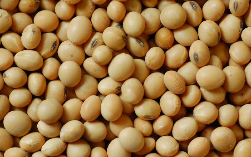 سویا خوراکی کیلویی؛ مواد مغذی توکوفرول فسفولیپید اوناسین Isoflavone