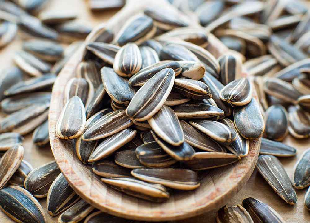 تخمه آفتابگردان قزوین؛ نمکی لیمویی درمان کم خونی فشار خون مناسب پذیرایی